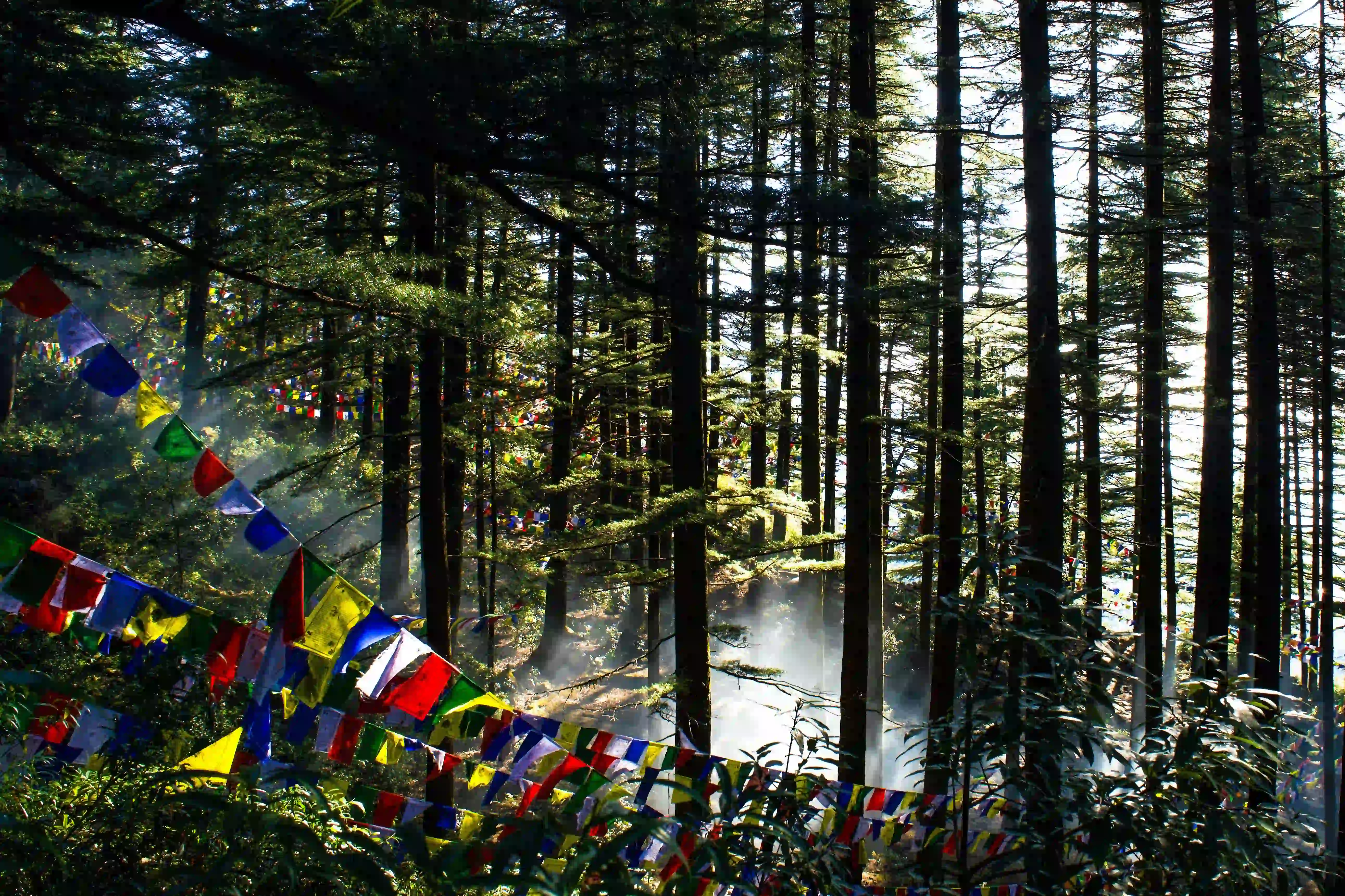 Custom Himachal Trip Background